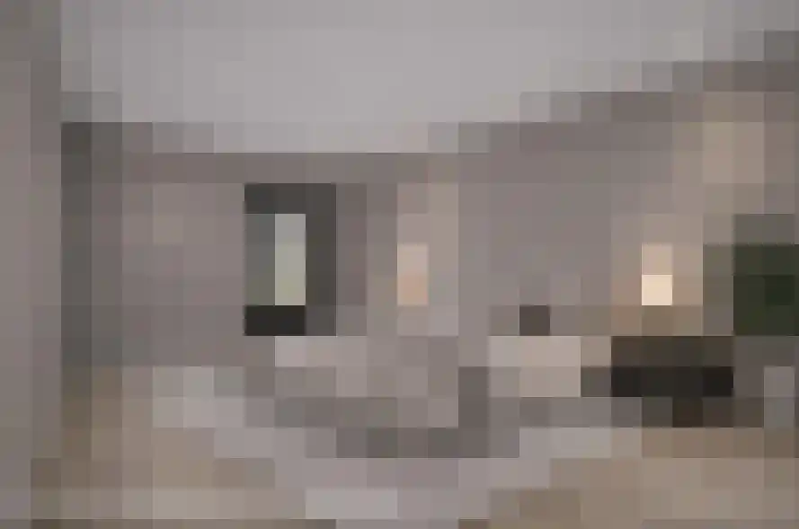 Eikenwal 11 Hegelsom thumbnail 65