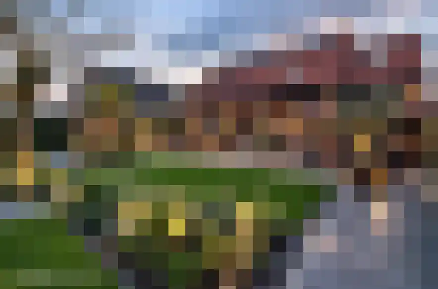 Eikenwal 11 Hegelsom thumbnail 67