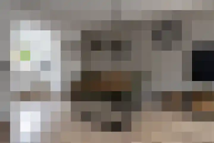 Eikenwal 132 Uden thumbnail 23