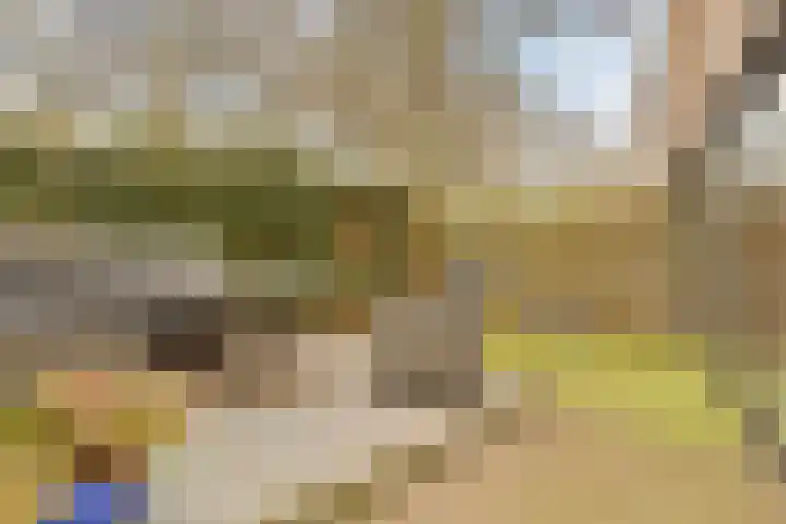 Eikenwal 132 Uden thumbnail 28