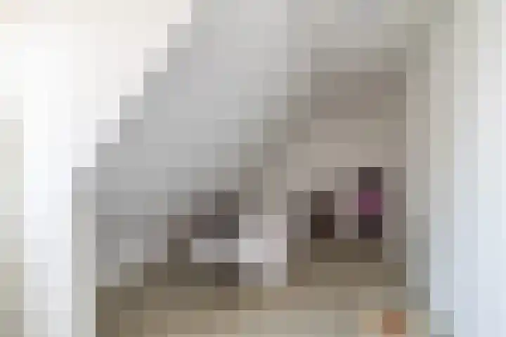 Eikenwal 132 Uden thumbnail 30