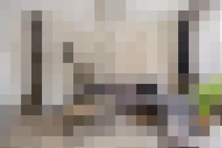 Eikenwal 14 Emmen thumbnail 14