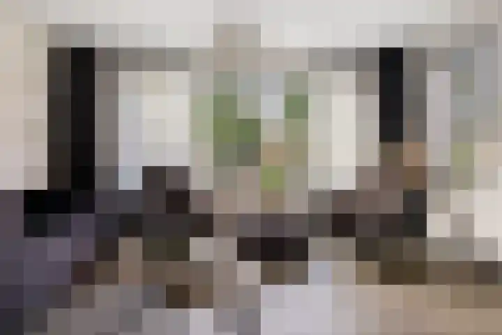 Eikenwal 14 Emmen thumbnail 16