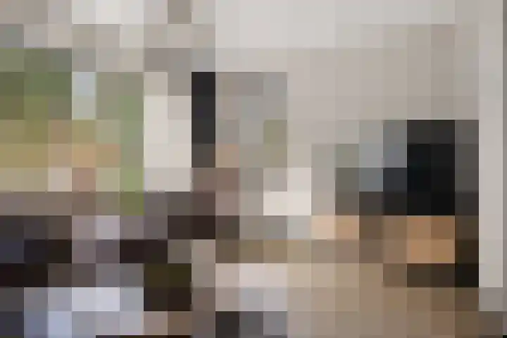 Eikenwal 14 Emmen thumbnail 17