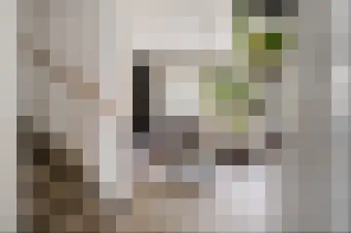 Eikenwal 14 Emmen thumbnail 18