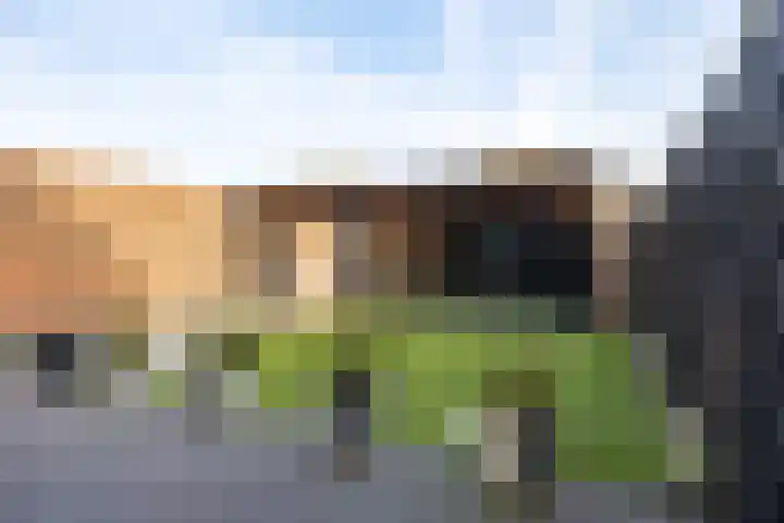 Eikenwal 14 Emmen thumbnail 38