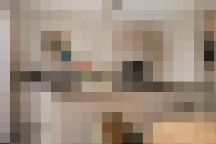 Eikenwal 14 Emmen thumbnail 4