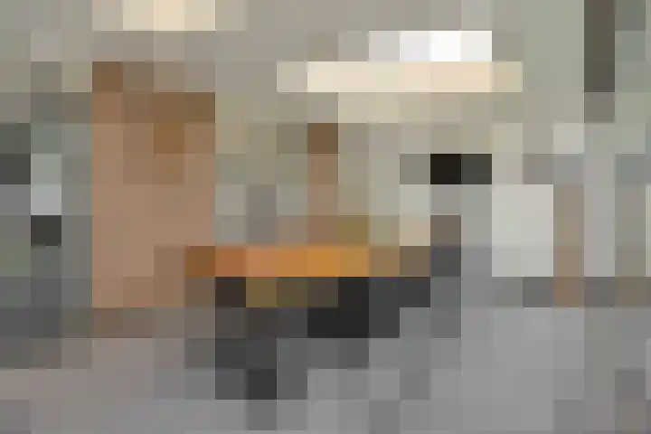Eikenwal 14 Geffen thumbnail 13