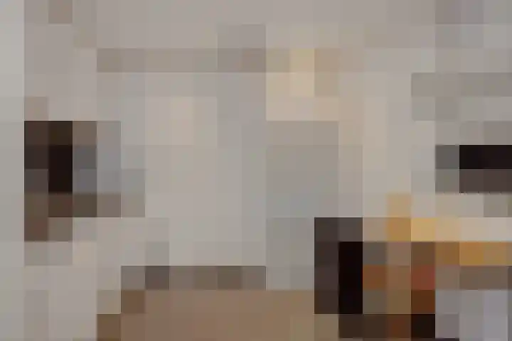 Eikenwal 14 Geffen thumbnail 16