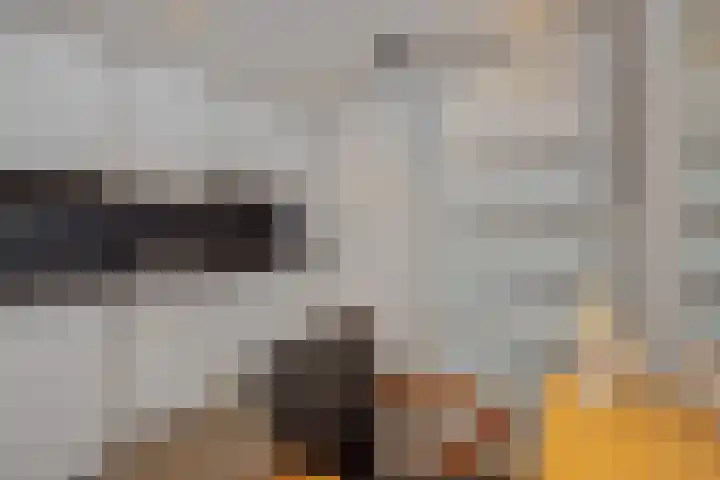 Eikenwal 14 Geffen thumbnail 17