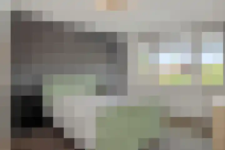 Eikenwal 14 Geffen thumbnail 21