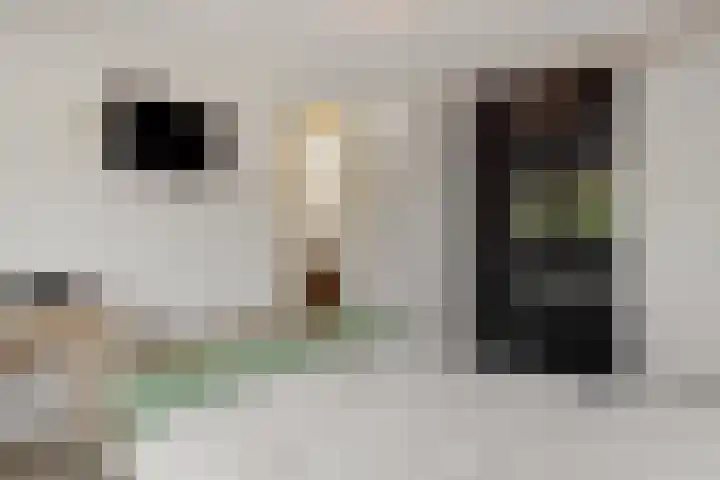Eikenwal 14 Geffen thumbnail 22