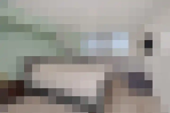 Eikenwal 14 Geffen thumbnail 32
