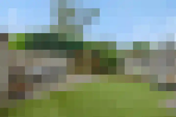 Eikenwal 14 Geffen thumbnail 34