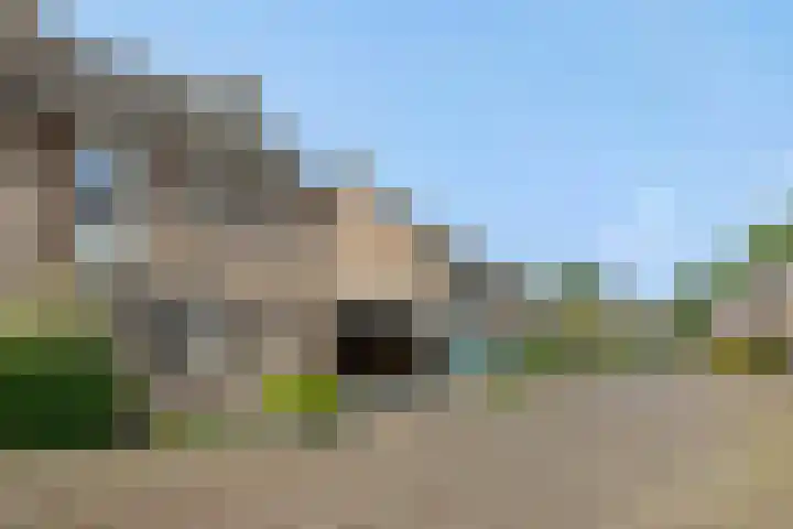 Eikenwal 14 Geffen thumbnail 43