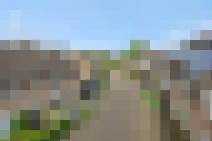 Eikenwal 14 Geffen thumbnail 47