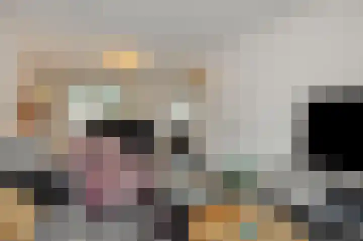 Eikenwal 14 Geffen thumbnail 5