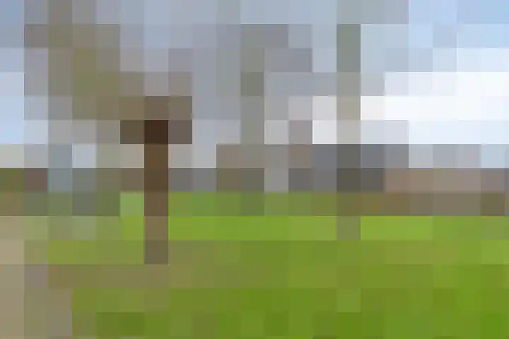 Eikenwal 17 Ottersum thumbnail 44