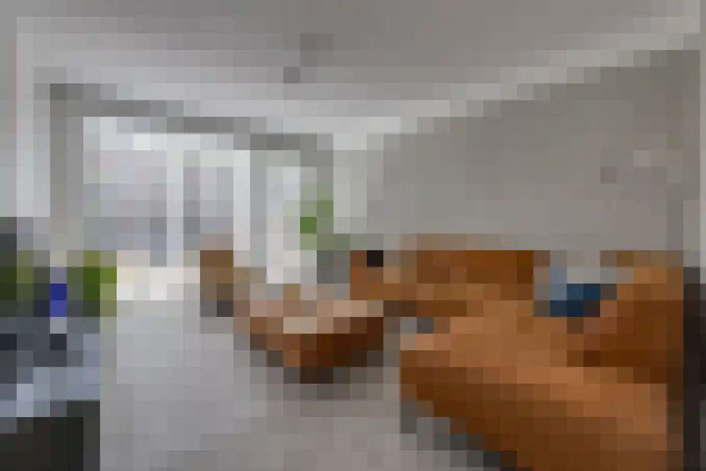 Eikenwal 18 Emmen thumbnail 7
