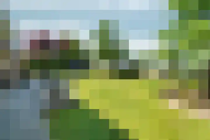 Eikenwal 20 Ottersum thumbnail 35