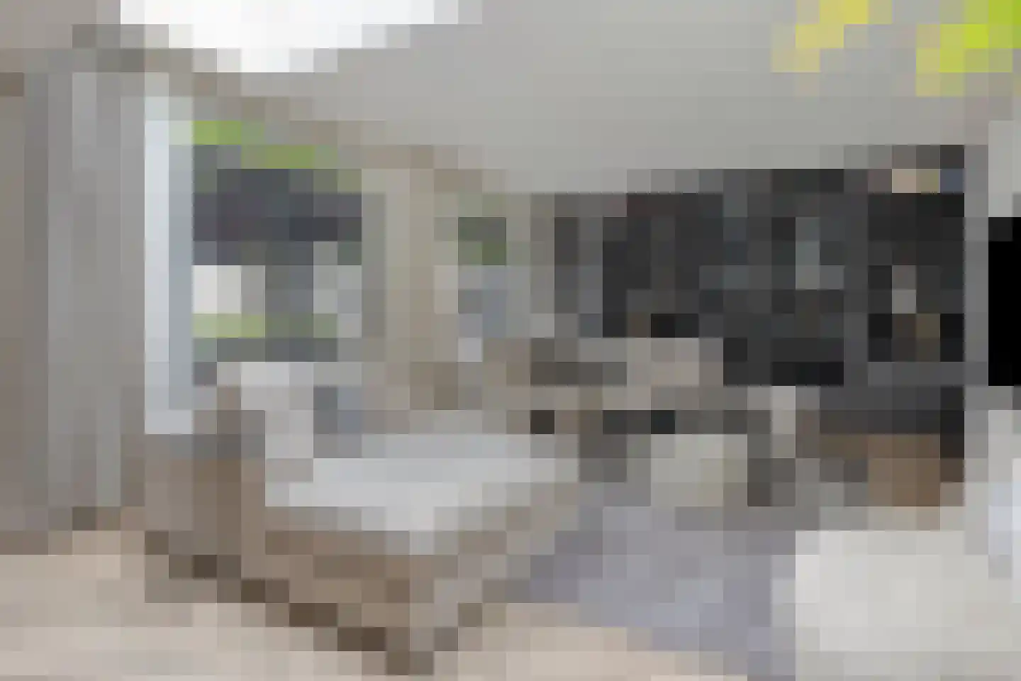 Eikenwal 205 Uden thumbnail 10