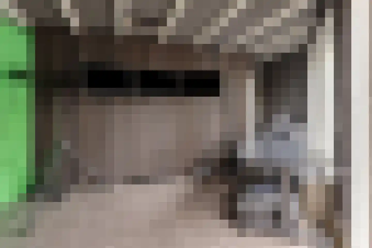 Eikenwal 205 Uden thumbnail 30