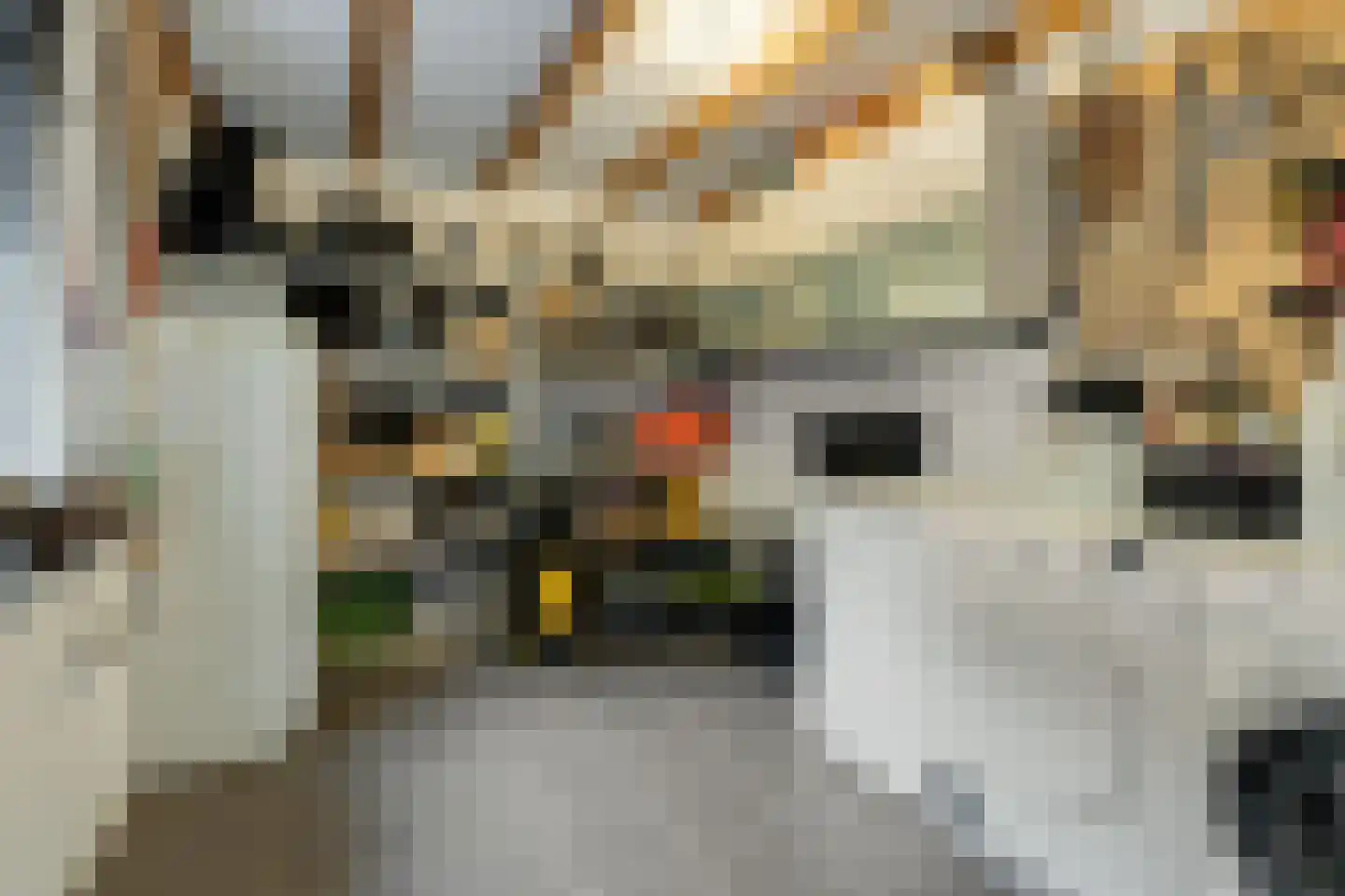 Eikenwal 205 Uden thumbnail 31