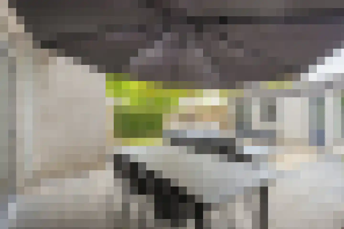 Eikenwal 205 Uden thumbnail 33