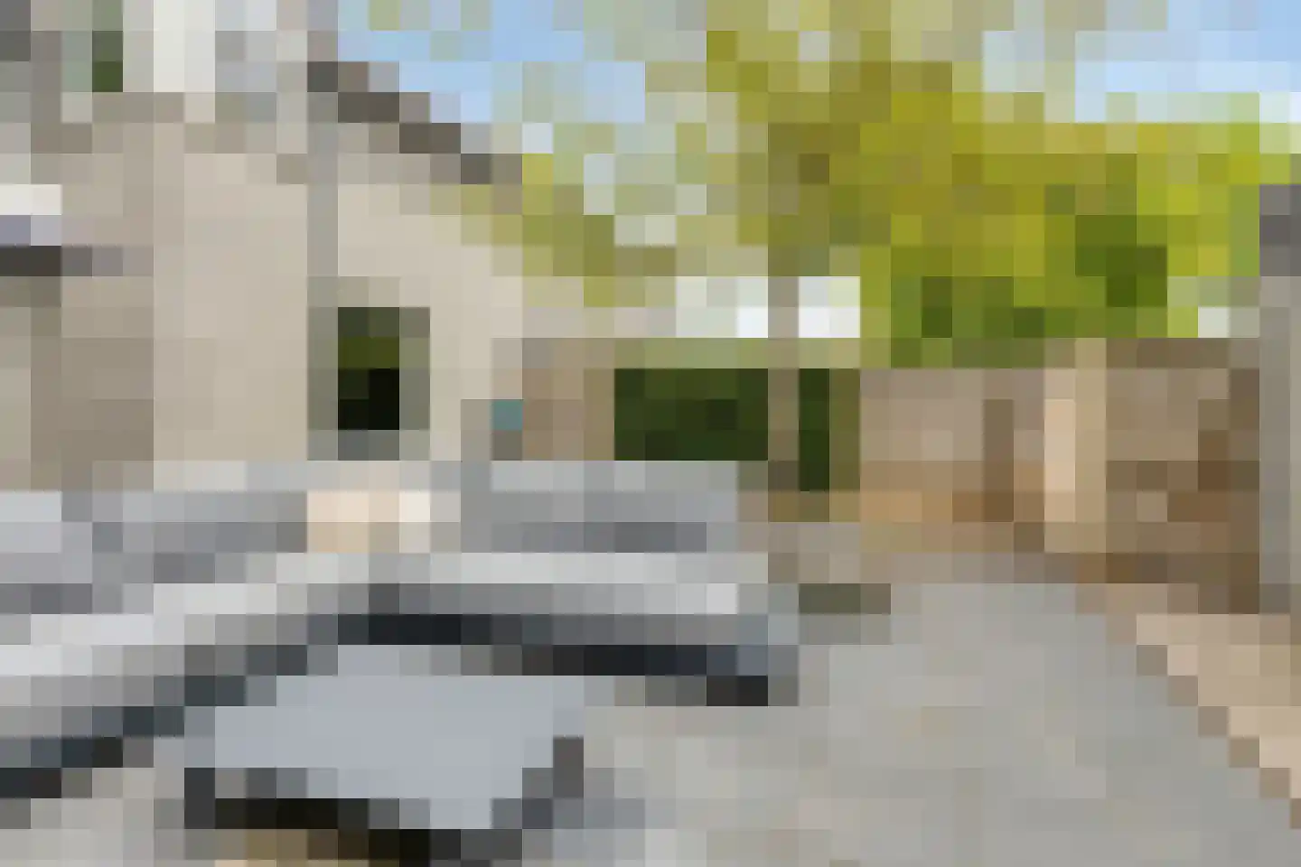 Eikenwal 205 Uden thumbnail 36
