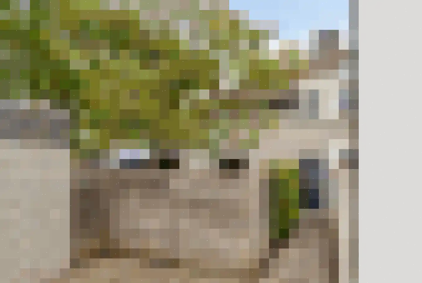 Eikenwal 205 Uden thumbnail 5