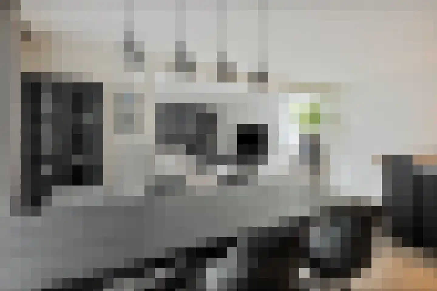Eikenwal 205 Uden thumbnail 8