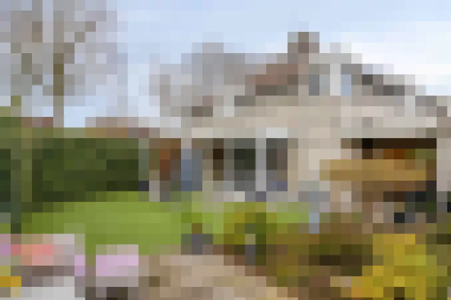 Eikenwal 219 Uden thumbnail 25