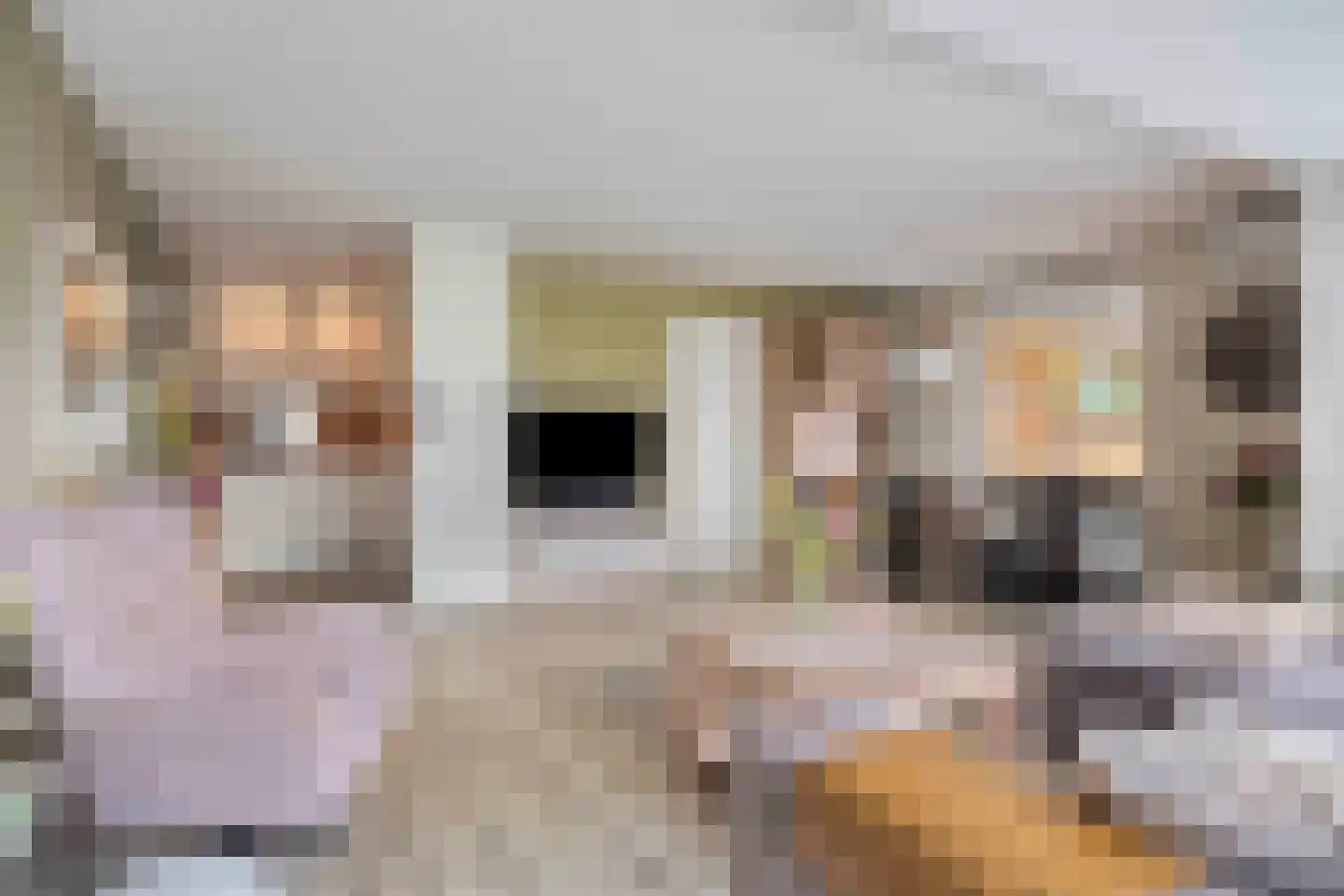 Eikenwal 219 Uden thumbnail 6