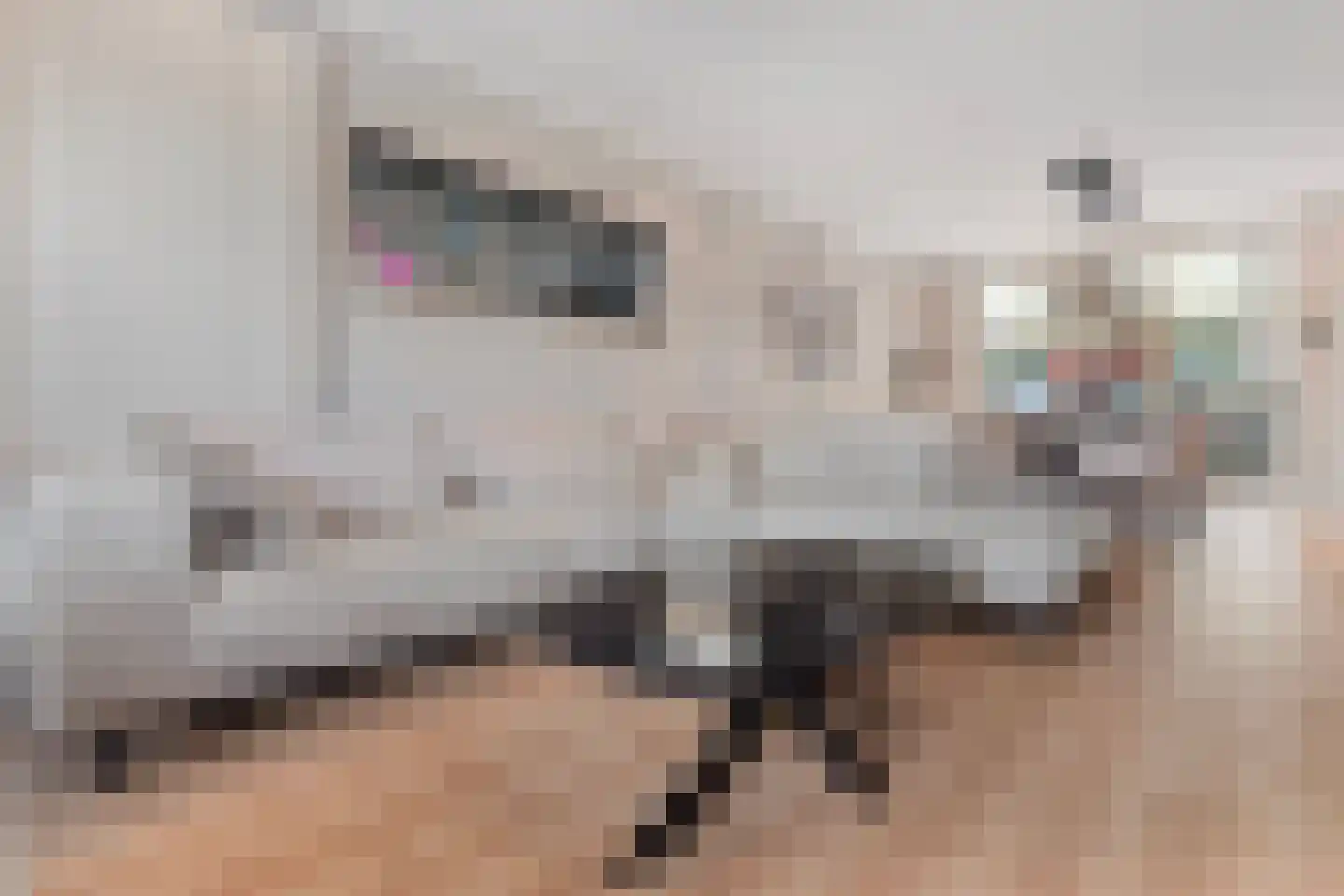 Eikenwal 23 Ottersum thumbnail 8