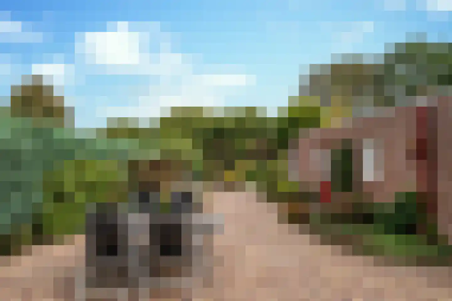 Eikenwal 519 Uden thumbnail 10