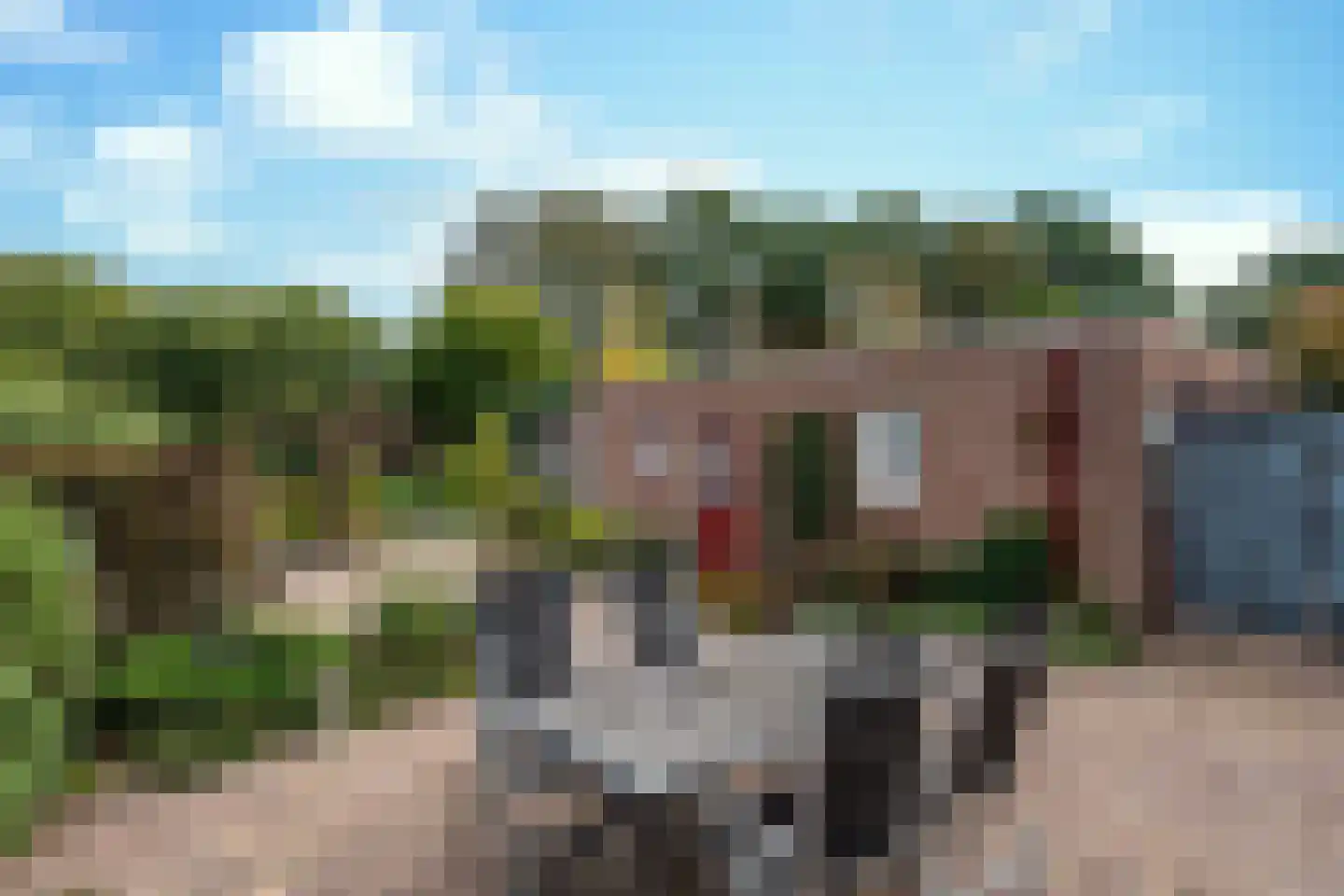 Eikenwal 519 Uden thumbnail 11