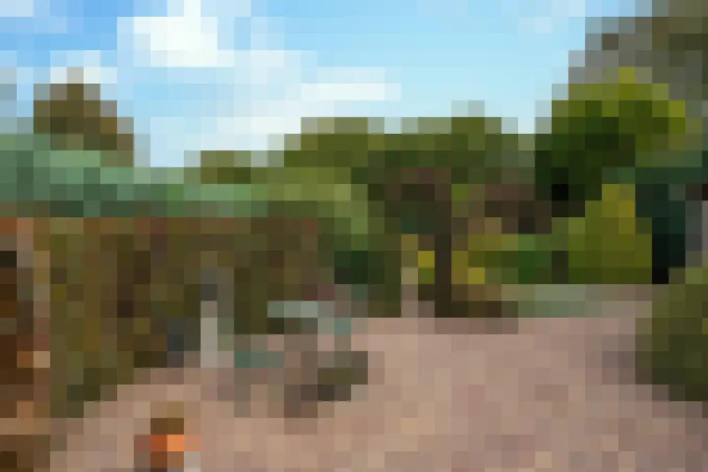 Eikenwal 519 Uden thumbnail 12
