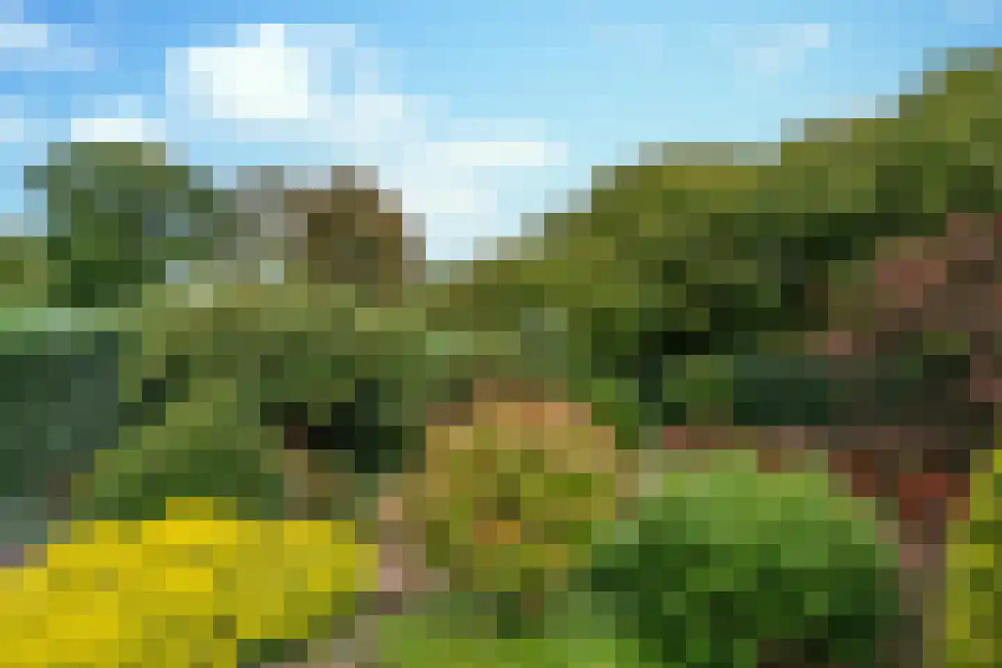 Eikenwal 519 Uden thumbnail 13