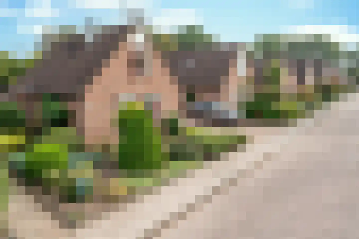 Eikenwal 519 Uden thumbnail 5