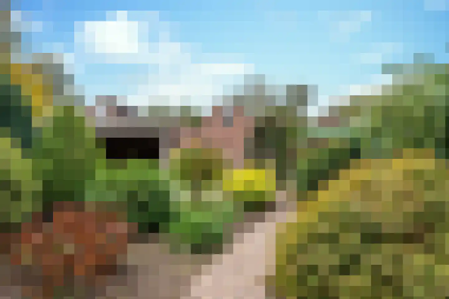 Eikenwal 519 Uden thumbnail 7