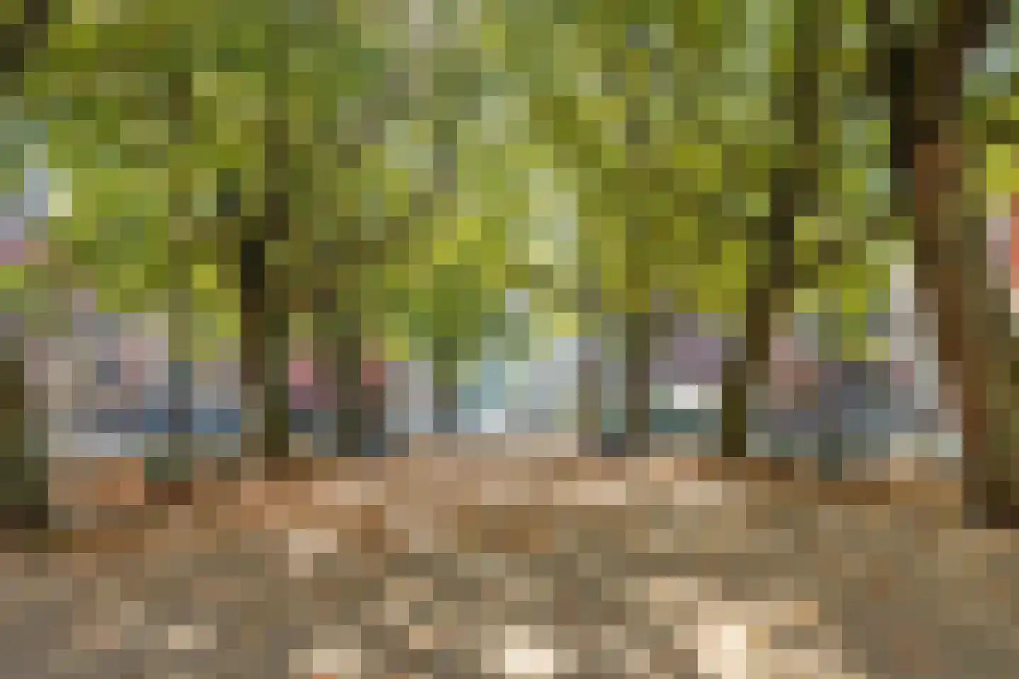 Eikenweg 10 Amsterdam thumbnail 20