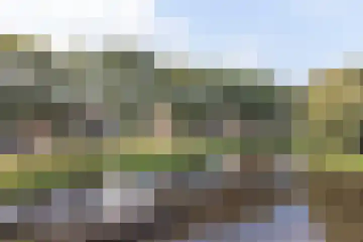 Eikenweg 10 Hoogezand thumbnail 70