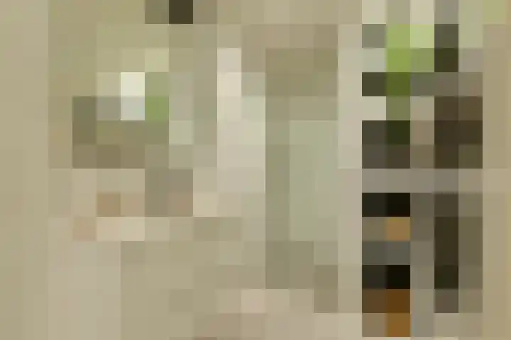 Eikenweg 12 Amsterdam thumbnail 11