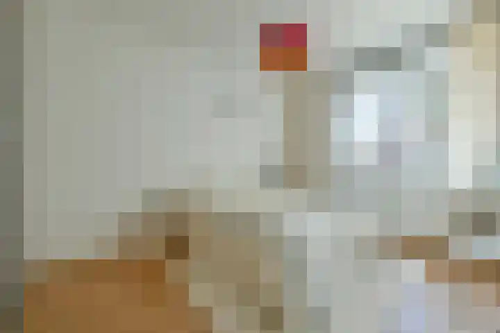 Eikenweg 12 Amsterdam thumbnail 12
