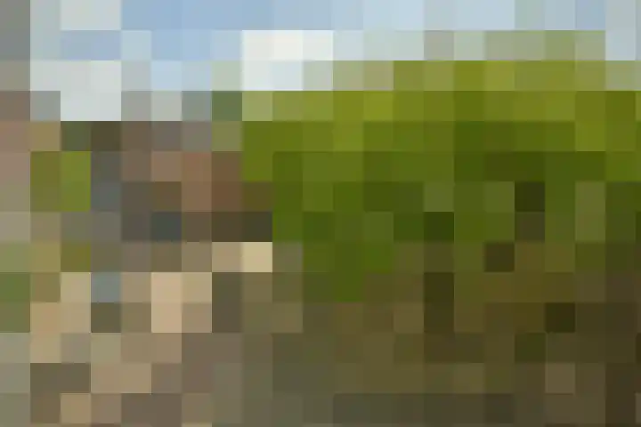Eikenweg 12 Amsterdam thumbnail 16