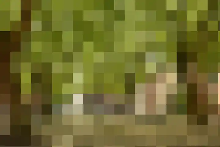 Eikenweg 12 Amsterdam thumbnail 21