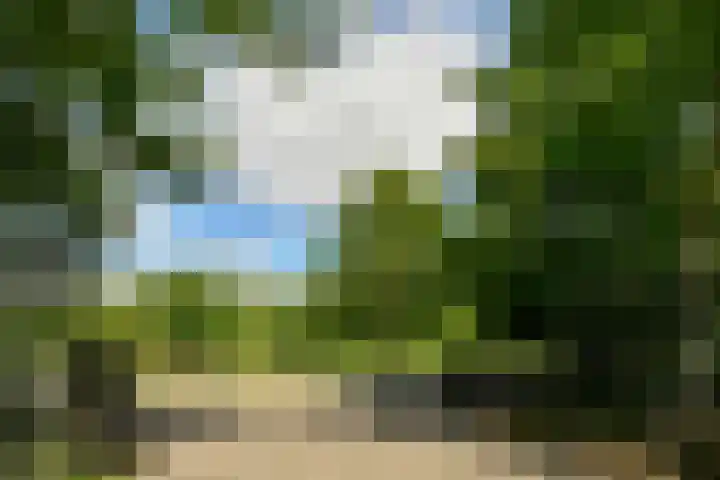 Eikenweg 12 Amsterdam thumbnail 22