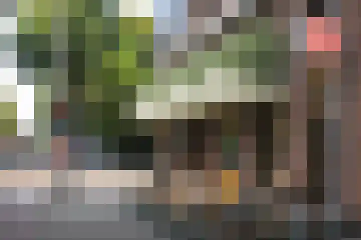 Eikenweg 12 Amsterdam thumbnail 23