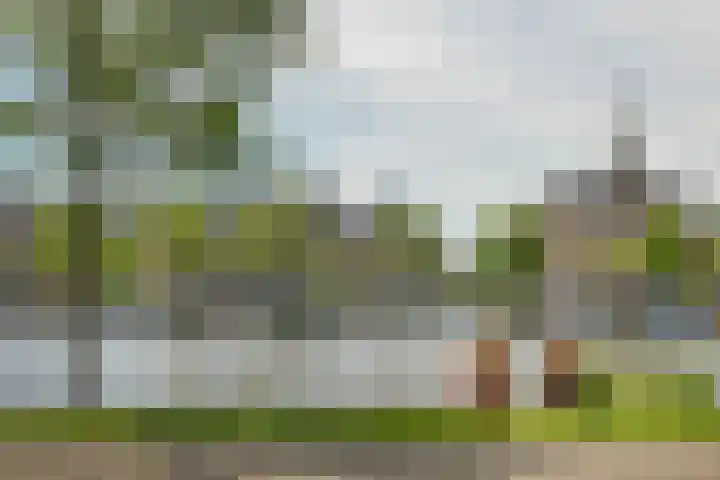 Eikenweg 12 Amsterdam thumbnail 24