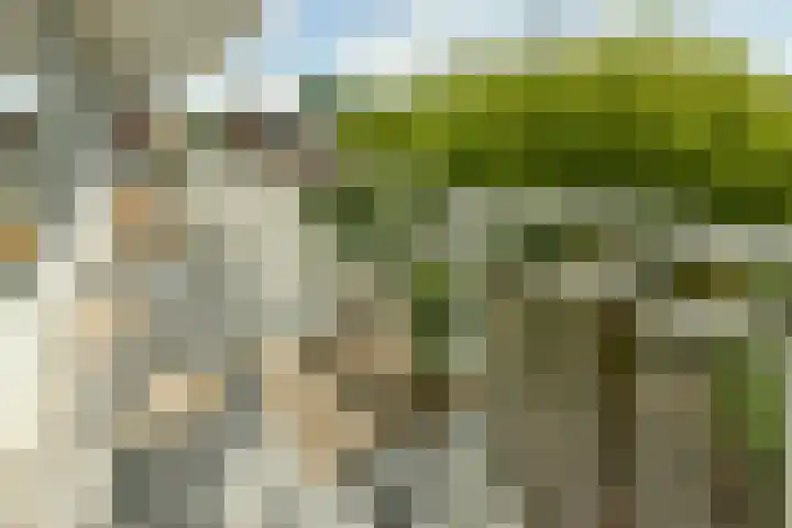 Eikenweg 12 Amsterdam thumbnail 5